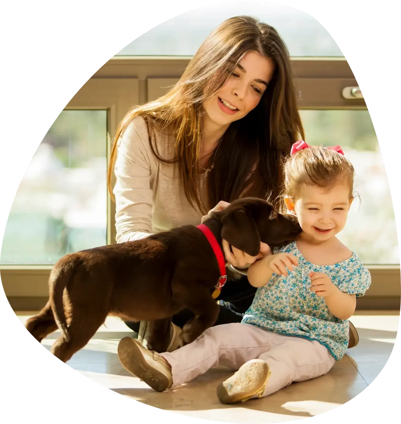 A woman and a baby playing with a dog