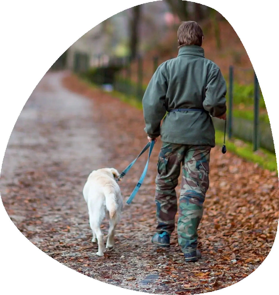 woman walking a dog